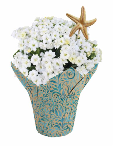 Blooming Flowers w/ Starfish Pick - Assorted Perspective: left