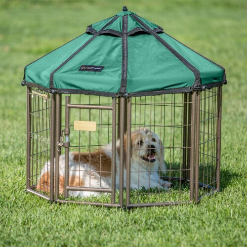 Indoor outdoor dog run sales