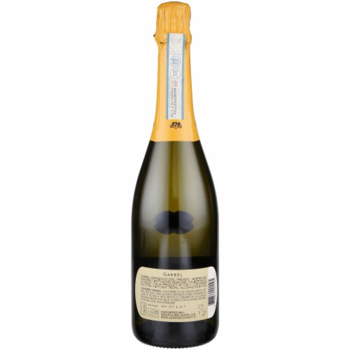 Adami Brut Garbel Glera Prosecco Italian Sparkling Wine Perspective: left