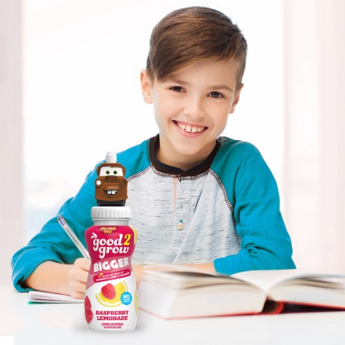 good2grow® Assorted Raspberry Lemonade Flavored Juice Beverage Perspective: left