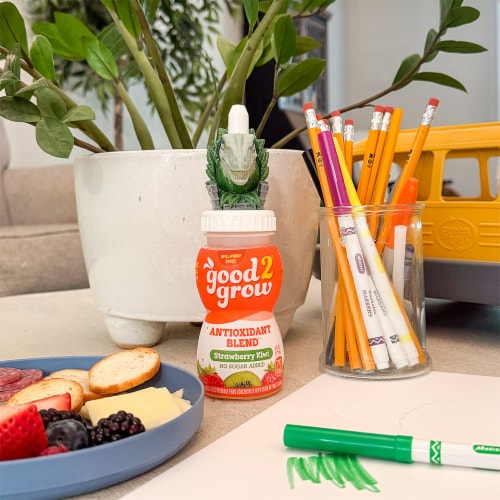 Good 2 Grow® Assorted Character Strawberry Kiwi Juice Perspective: left