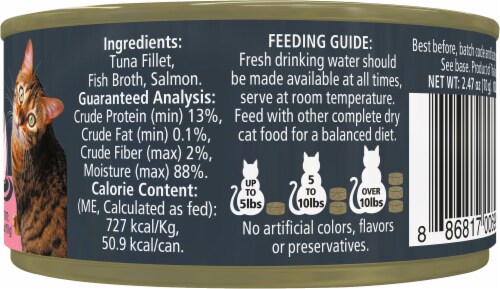 Reveal Grain Free Tuna Fillet With Salmon Wet Cat Food Perspective: left