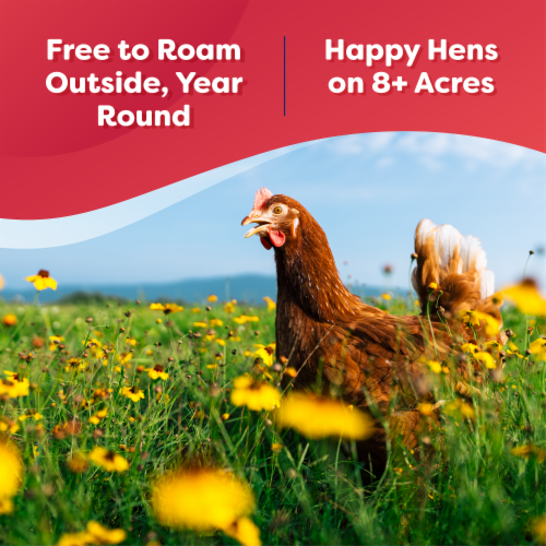Happy Egg Co.® Free Range Large Brown Eggs Perspective: left