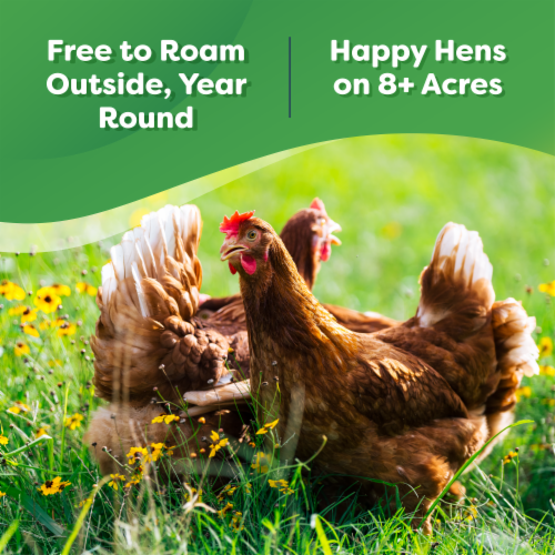 Happy Egg Co.® Free Range Large Brown Organic Eggs Perspective: left