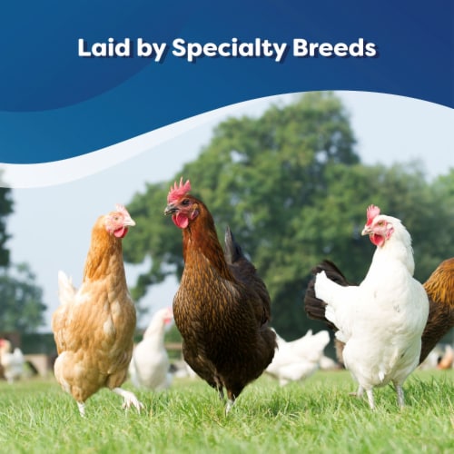 Happy Egg Co.® Free Range Heritage Large Blue & Brown Eggs Perspective: left