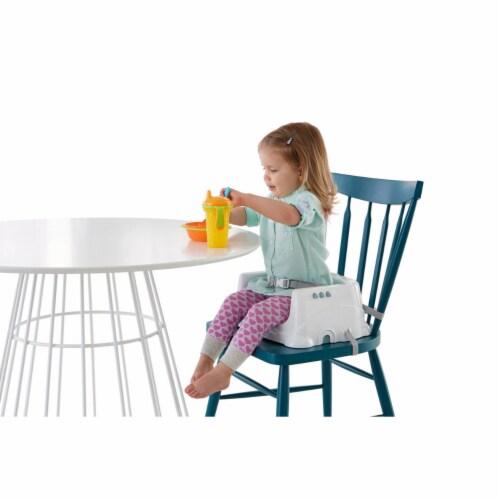 Fisher Price Healthy Care Deluxe Booster Seat Grey 1 ct Harris Teeter