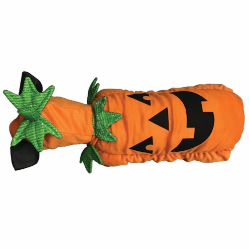 Holiday Home Pumpkin Pet Costume Perspective: left