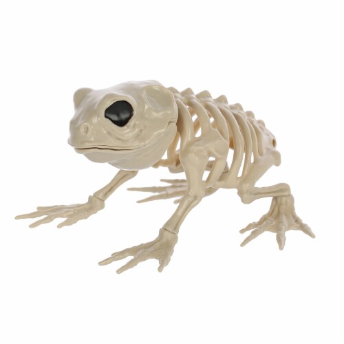 Holiday Home Skeleton Frog Decoration Perspective: left