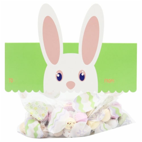 Holiday Home® Easter Resealable Treat Bags - Easter Bunny Perspective: left