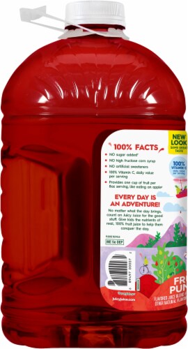 Juicy Juice® Fruit Punch 100% Juice Perspective: left