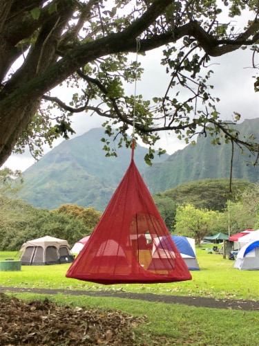 Flowerhouse Tear Drop Hanging Chair - Red Perspective: left