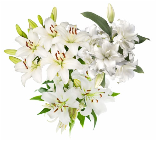 White Lily Combo 5 Stems Perspective: left