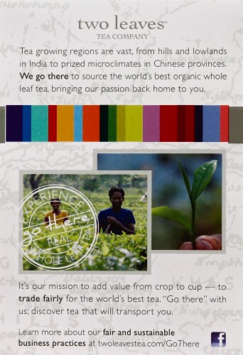 Two Leaves™ Organic Tamayokucha Whole Leaf Green Tea Sachets Perspective: left