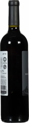 90 + Cellars Lot 23 Old Vine Malbec Argentina Red Wine Perspective: left