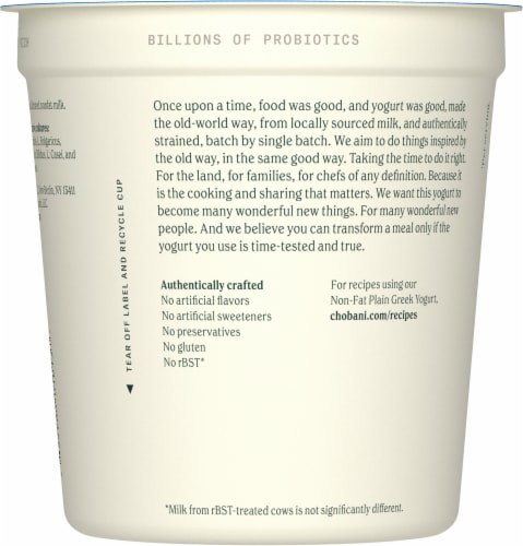 Chobani nonfat plain shop greek yogurt