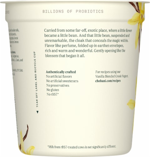 Chobani® Vanilla Nonfat Greek Yogurt Tub Perspective: left
