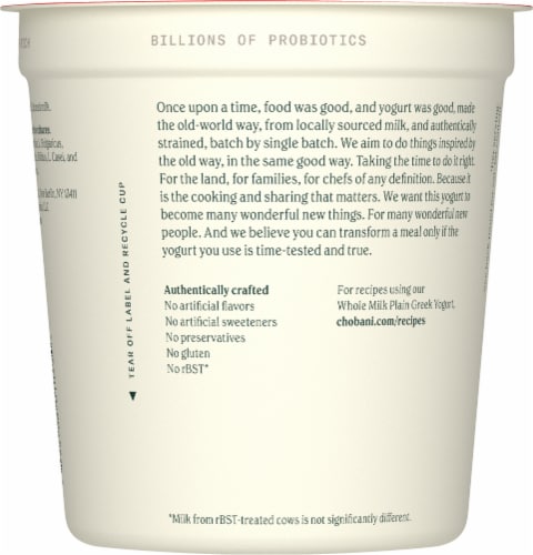 Chobani® Whole Milk Plain Greek Yogurt Perspective: left