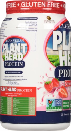 Genceutic Naturals Gluten Free Plant Head Strawberry Protein Powder Perspective: left