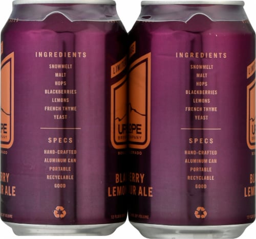 Upslope Brewing Co. Blackberry Lemon Sour Ale Craft Beer Perspective: left