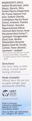 Weleda Peppermint Salt Toothpaste Perspective: left
