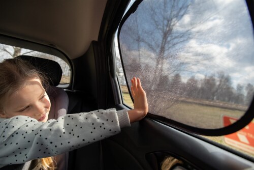 Baby on sale car shade