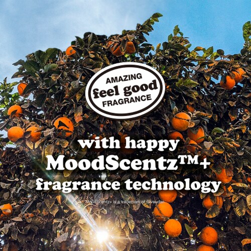 Happy Hair People™ Happy Hydration Conditioner Perspective: left