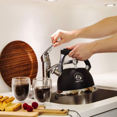Barvivo 3qt Whistling Tea Kettle - Stainless Steel Tea Pot for All Stovetops Perspective: left