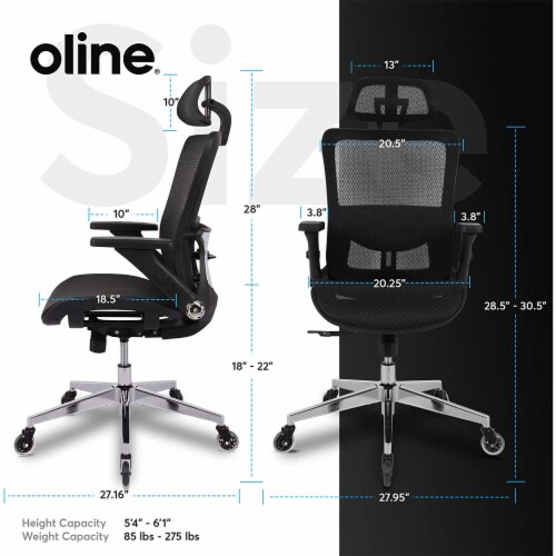 Oline ErgoMax Ergonomic Adjustable Swivel Office Chair w Lumbar