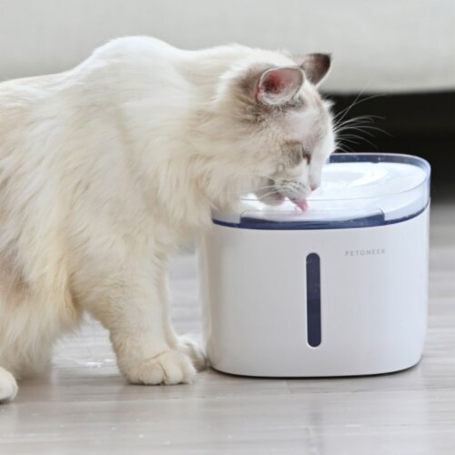 Mini pet hot sale water fountain