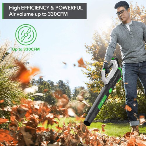 Lightweight cordless blower deals