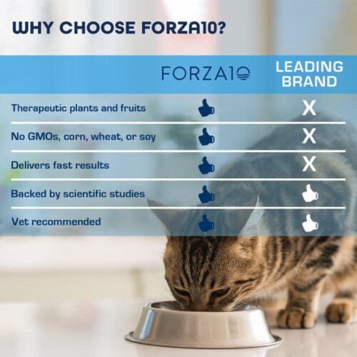 FORZA 10 Active-Wet CAT INTESTINAL Fish 3.5 Oz. Pack of 32 FORZA 10 Active-Wet CAT INTESTINAL Fish 3.5 Oz. Pack of 32