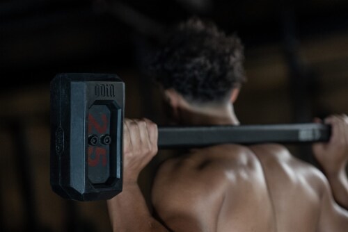 TRIBE WOD Odin Sledgehammer Interchangeable Weight Plates - Up to 35 LB Perspective: left