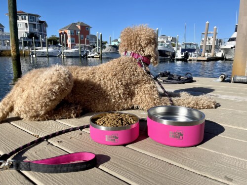 Yeti dog bowl pink hot sale