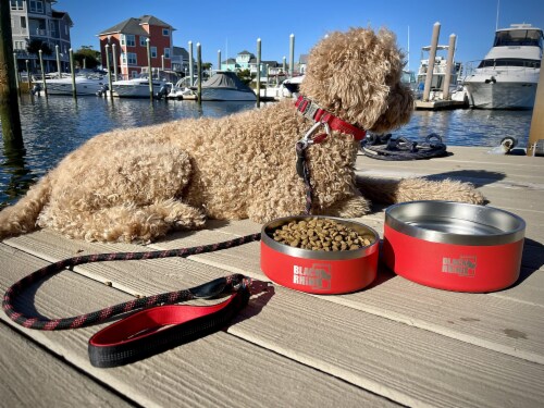 Black Rhino Dura-Bowl Red (42 Oz) for Dogs | Non Slip Perspective: left