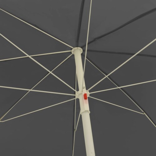 vidaXL Beach Umbrella Anthracite 118.1 Perspective: left