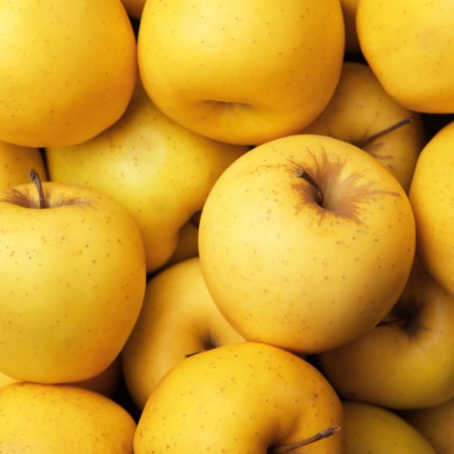 Small Golden Delicious Apple – Each Perspective: right