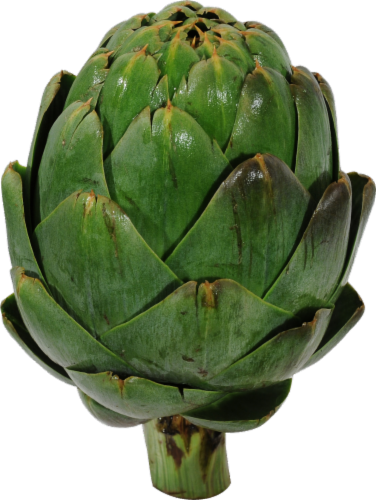 Artichoke Perspective: right