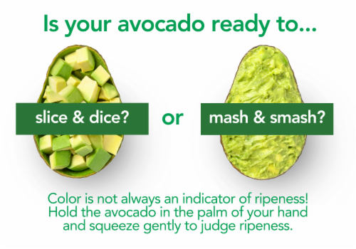 Fresh Organic Large Ripe Avocado Perspective: right