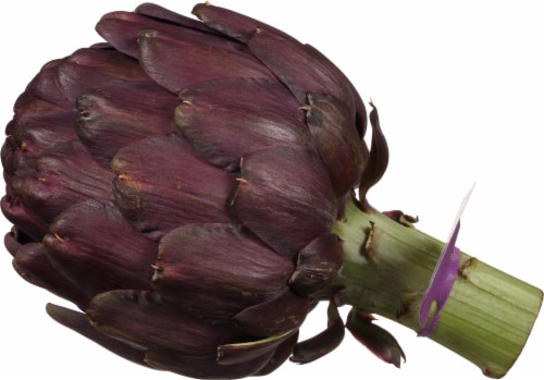 Ocean Mist Farms Purple Artichoke Perspective: right