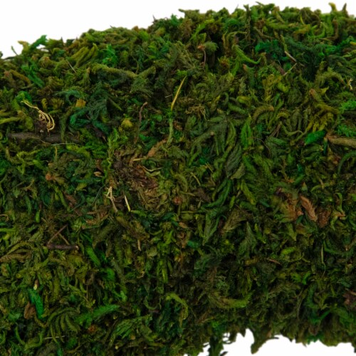 Northlight 13.7 Reindeer Moss Artificial Floral Spring Wreath - Unlit Perspective: right