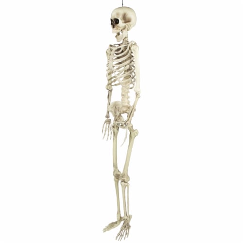 Northlight 5' Life Size Skeleton Hanging Halloween Decoration Perspective: right
