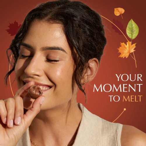 Lindt LINDOR Fall Pumpkin Spice Milk Chocolate Candy Truffles Bag Perspective: right