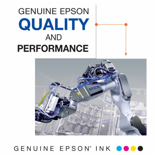 Epson Color Multi Pack T202520-S Perspective: right
