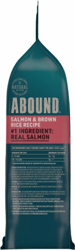 Abound™ Salmon & Brown Rice Recipe Adult Dry Cat Food Perspective: right