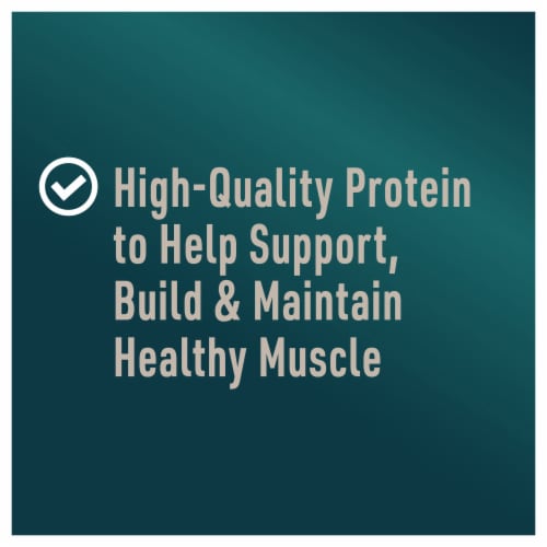 Abound® Grain Free All Size Dogs Jerky Bites Dog Treats Lamb Chickpea & Squash Perspective: right