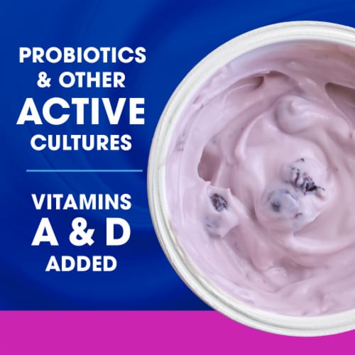 Kroger Blueberry Low Fat Yogurt Cup Perspective: right