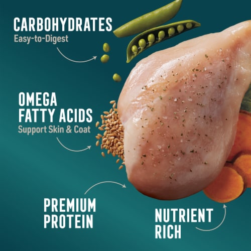 ABOUND® Chicken Peas & Sweet Potato in Gravy Wet Dog Food Perspective: right