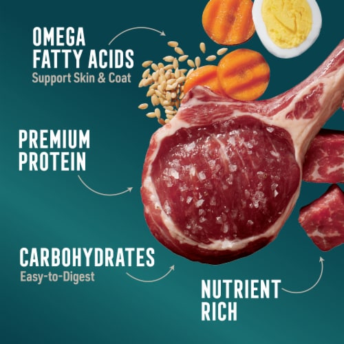 ABOUND® Wet Dog Food Lamb & Beef Dinner Perspective: right