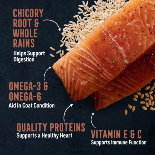 ABOUND® Pro Vet Formulated Skin & Coat Adult Dry Dog Food Salmon & Brown Rice Perspective: right