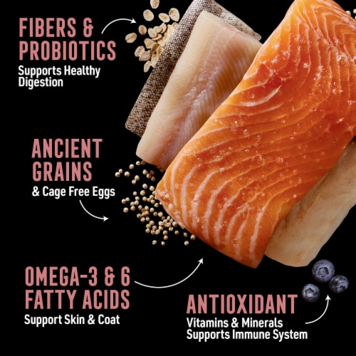 ABOUND® Wild Beginnings All Life Stages Dry Dog Food Salmon Whitefish & Trout Perspective: right